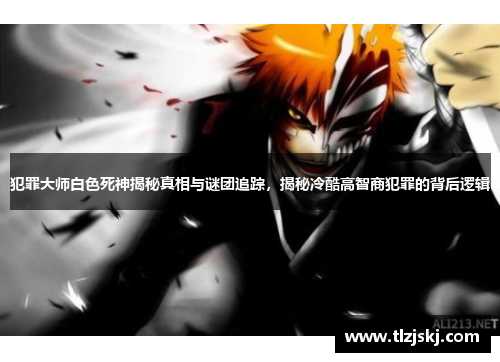 犯罪大师白色死神揭秘真相与谜团追踪,揭秘冷酷高智商犯罪的背后逻辑